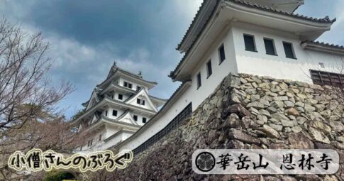 castle-gujo-hachiman